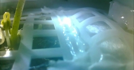 চাঁদের চারা মারা গেছে