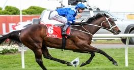 অস্ট্রেলিয়ার বর্ষসেরা ব্যক্তিত্ব ঘোড়া!