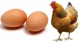 ওজন বাড়াতে যা খাবেন