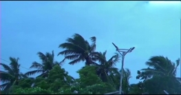 ফনীর ছোবলে উড়িষ্যায় নিহত ৪