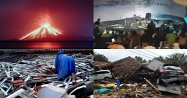 লাইভ কনসার্টে মাতোয়ারা, আচমকা সুনামির আঘাত, শুধু আর্তনাদ (ভিডিও)