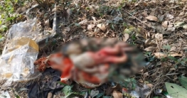 জাবি ক্যাম্পাস থেকে নবজাতকের লাশ উদ্ধার জাবি ক্যাম্পাস থেকে নবজাতকের লাশ উদ্ধার