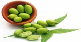 নিম তেলের ব্যবহারে হয়ে উঠুন আকর্ষণীয়
