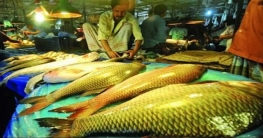 মাছ টাটকা কিনা বুঝবেন যেভাবে