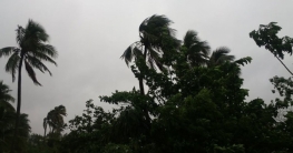 ফণীর আঘাতে ভোলায় শতাধিক ঘরবাড়ি বিধ্বস্ত, নিহত ১