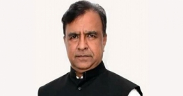 ‘সোনারগাঁওয়ের সাথে জড়িয়ে আছে বাংলার ইতিহাস-ঐতিহ্য’ ‘সোনারগাঁওয়ের সাথে জড়িয়ে আছে বাংলার ইতিহাস-ঐতিহ্য’