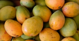 ফরমালিনমুক্ত আম চেনার সহজ উপায়