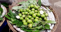 আমের কেজি দুই টাকা!