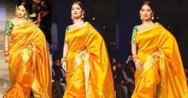 শাড়িতে নিউইয়র্ক মাতালেন মোনালিসা