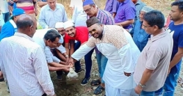 ফডিসিতে সুসজ্জিত মসজিদ নির্মাণ শুরু, বাজেট তিন কোটি ফডিসিতে সুসজ্জিত মসজিদ নির্মাণ শুরু, বাজেট তিন কোটি