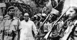 ১৭ এপ্রিল কী ঘটেছিল আম্রকাননে