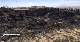 বিধ্বস্ত ইথিওপিয়ান প্লেনের আরোহীদের জাতীয়তা প্রকাশ