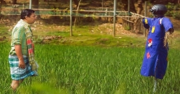 রৌদ্র খরতাপে কৃষি কাজ করছেন চঞ্চল চৌধুরী! রৌদ্র খরতাপে কৃষি কাজ করছেন চঞ্চল চৌধুরী!