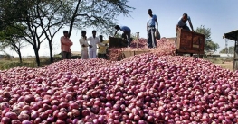 পেঁয়াজের কেজি ৪ টাকা, বৃদ্ধ কৃষকের হার্ট অ্যাটাকে মৃত্যু!