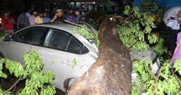 রাজধানীতে ৮৫ কিলোমিটার বেগে কালবৈশাখীর আঘাত