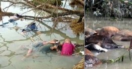 আজ ভয়াল ২৯ এপ্রিল