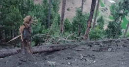 গাছে বোমা হামলা, ভারতীয় পাইলটদের বিরুদ্ধে পাকিস্তানের মামলা