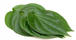 হজমে সহায়ক পান পাতা