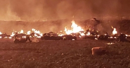 মেক্সিকোতে পাইপলাইন বিস্ফোরণে নিহত ২০, দগ্ধ ৫৪