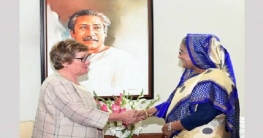 রোহিঙ্গা প্রত্যাবাসনে চাপ অব্যাহত রাখার আহ্বান ফিনল্যান্ডের