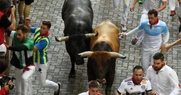 সৌদিতে এবার ‘ষাঁড় দৌড়’