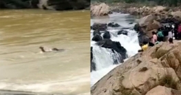 সেলফি তুলতে গিয়ে পানিতে পড়ে শিক্ষার্থীর মৃত্যু