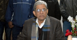 দেশে ফিরলেন মির্জা ফখরুল