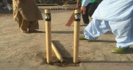 আউট, অর নট-আউট!