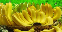 মেদ কমাবে কলা, বাড়াবে মানসিক শক্তি