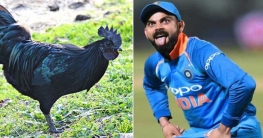 মুরগি খেয়ে শক্তি বাড়াচ্ছেন কোহলিরা!