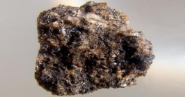 নিলামে চাঁদের ৩ পাথর, দাম ৬ কোটি টাকা!