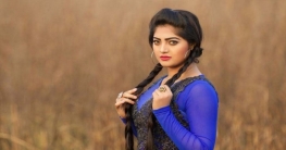 সঙ্গীত জগতে নতুন বছরের পরিকল্পনা