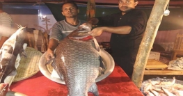 কাতলার দাম এক লাখ ২০ হাজার