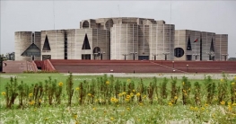 এসএসসিও পাস করেননি ১২ এমপি