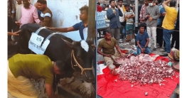 ৩২ নম্বরে গরুর মাংসে ভুরিভোজের উৎসব