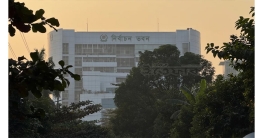 শুনানিতে বিএনপি-এনসিপির মারামারির ঘটনায় ইসির জিডি