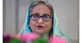 ক্ষমা চাইতে রাজি নন শেখ হাসিনা
