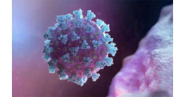 দেশে করোনার নতুন ধরন, সতর্কতা