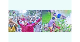 ব্যাটারিচালিত রিকশাচালকদের তাণ্ডব