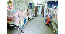 রেকর্ড ডেঙ্গু রোগী হাসপাতালে