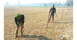 কাঁটাতারের বেড়ায় এবার মদের বোতল ঝুলাচ্ছে বিএসএফ