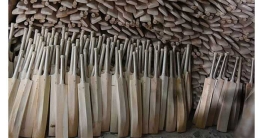 ক্রিকেট আইনে বড় পরিবর্তন আনল এমসিসি