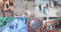 অপরাধের হটস্পট মোহাম্মদপুর