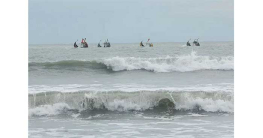 ঘূর্ণিঝড় ‘মোখা’ সুপার সাইক্লোন হবে না, দাবি আবহাওয়া অধিদপ্তরের