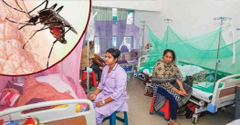 ডেঙ্গুতে ১০ জনের মৃত্যু, হাসপাতালে ২২০২ ডেঙ্গুতে ১০ জনের মৃত্যু, হাসপাতালে ২২০২