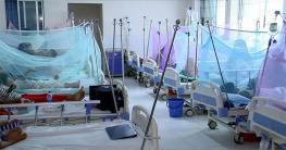 ডেঙ্গুতে একদিনে মৃত্যু ৭, হাসপাতালে ভর্তি ১০৫৪ ডেঙ্গুতে একদিনে মৃত্যু ৭, হাসপাতালে ভর্তি ১০৫৪