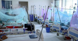 ডেঙ্গুতে একদিনে মৃত্যু ৯, হাসপাতালে ভর্তি ২২৯২ ডেঙ্গুতে একদিনে মৃত্যু ৯, হাসপাতালে ভর্তি ২২৯২