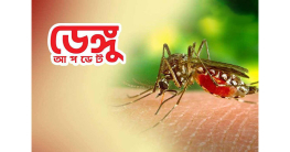 ডেঙ্গুতে আরও ৭ জনের মৃত্যু, হাসপাতালে ১৬২৩ ডেঙ্গুতে আরও ৭ জনের মৃত্যু, হাসপাতালে ১৬২৩