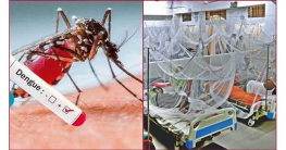 ডেঙ্গুতে এক দিনে রেকর্ড ছয় জনের মৃত্যু, হাসপাতালে ভর্তি ৮৩৬ জন