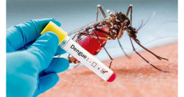 ডেঙ্গু আক্রান্ত হয়ে ২৪ ঘণ্টায় ১৪ জনের মৃত্যু ডেঙ্গু আক্রান্ত হয়ে ২৪ ঘণ্টায় ১৪ জনের মৃত্যু